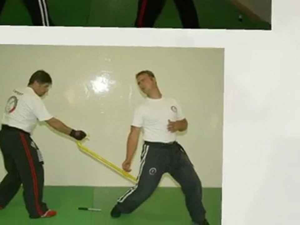 Canne défense de rue Levinet