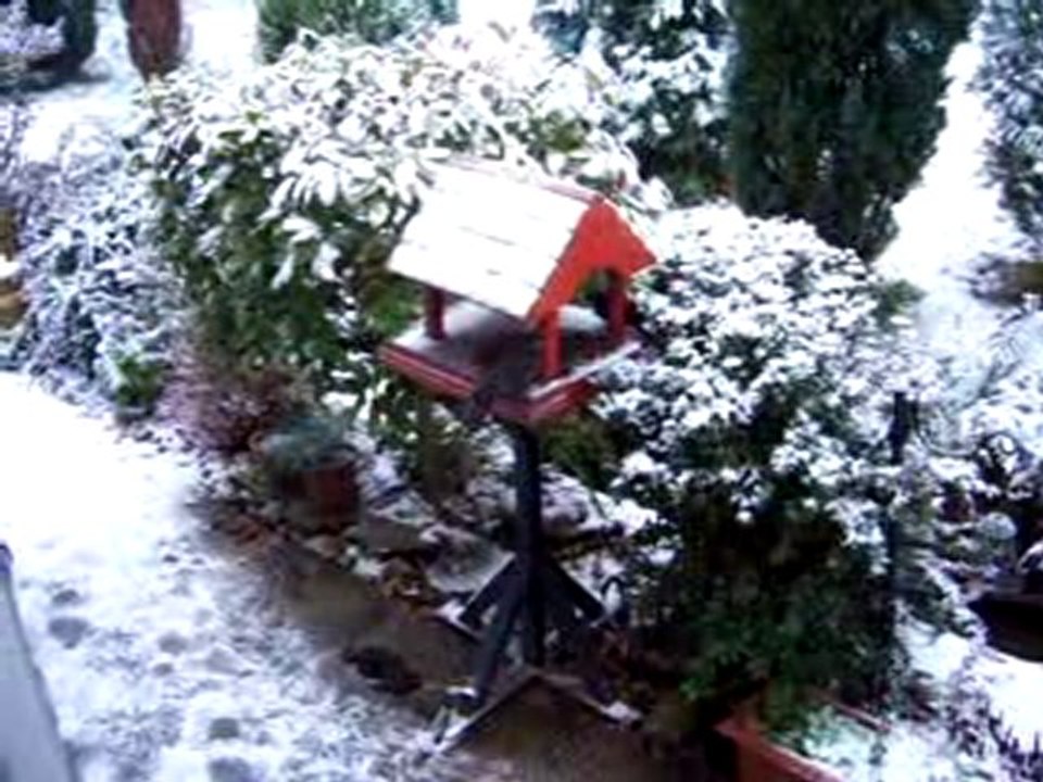 Chez Véronica et Gordon - 29 novembre 2010