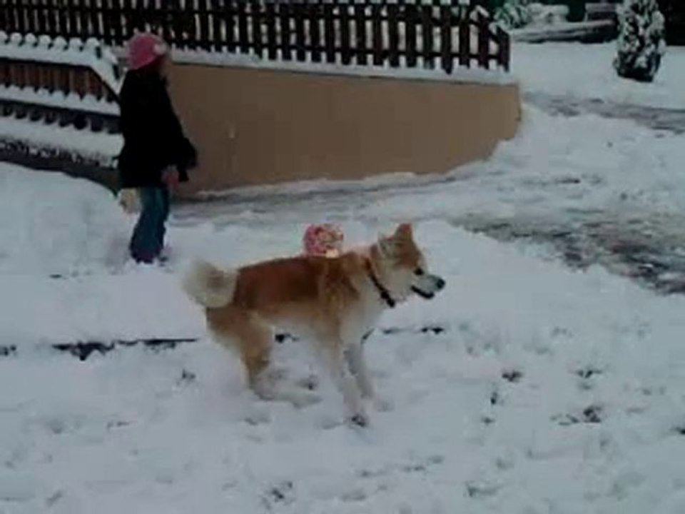 daisuky dans la neige