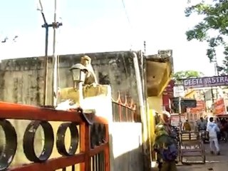 singe hurleur rishikesh