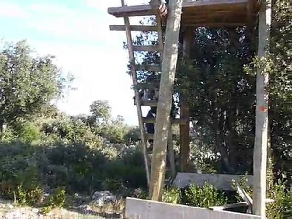 Leçon de sifflet ou comment rappeler son chien