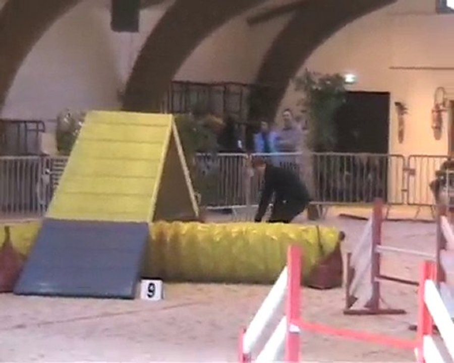 vero compiégne 2 (2010)