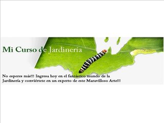 Jardineria - Jardineria Curso - Curso Jardineria