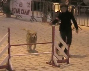 vero compiegne 4 (2010)