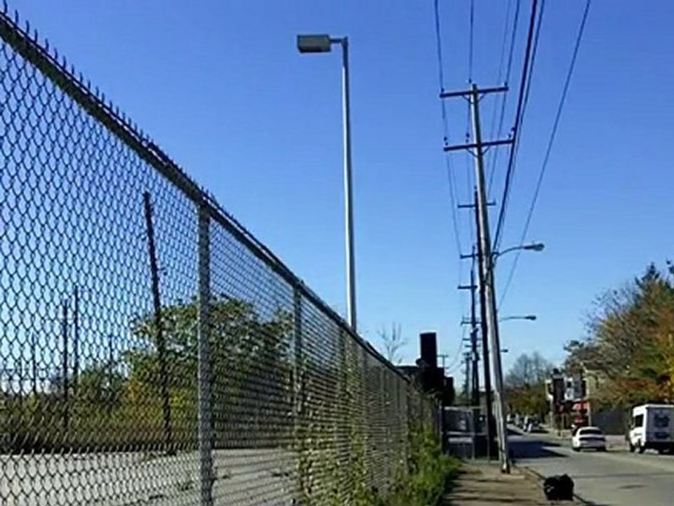 EDOM SHALL PERISH(5)