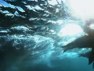 ARTICWOLF- Age Of Loneliness