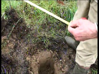 Semis direct dans des bouteilles de 5 litres