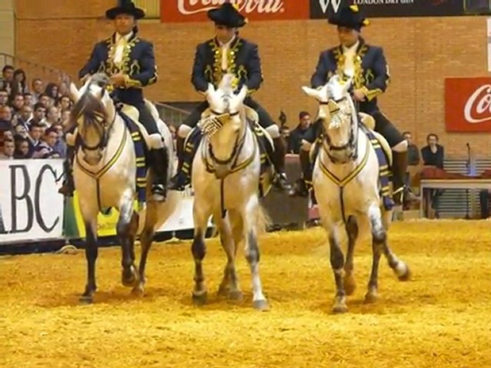 Sicab 2010