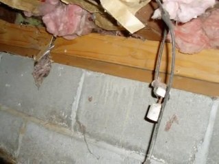 Bellingham Home Inspector: King of the House - Knob & Tube