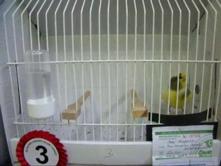 16-LİPOGROM AHRAÇ KABAK ERKEKLER | CLUP SHOW 2010