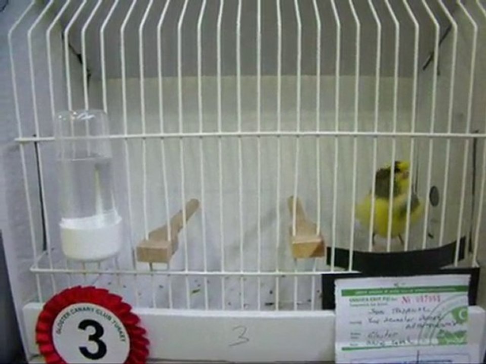 16-LİPOGROM AHRAÇ KABAK ERKEKLER | CLUP SHOW 2010