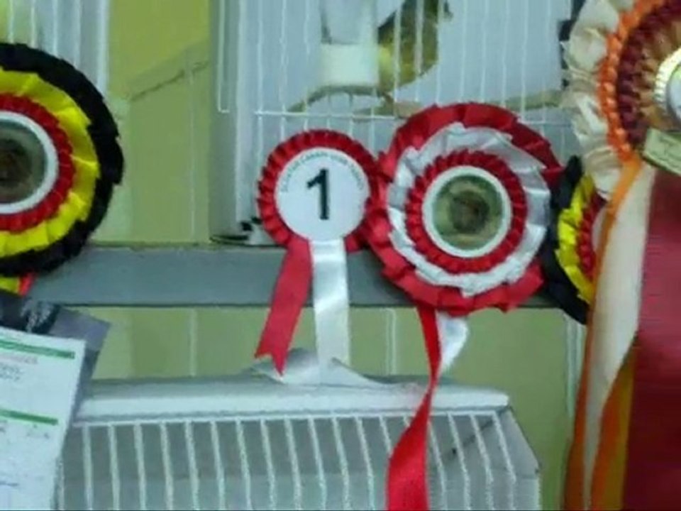 23-BEST | CLUP SHOW 2010