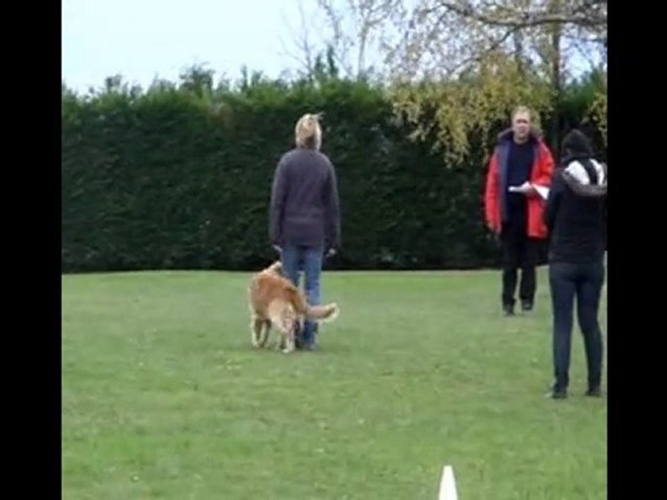 uriane concours du 14 novembre 2010