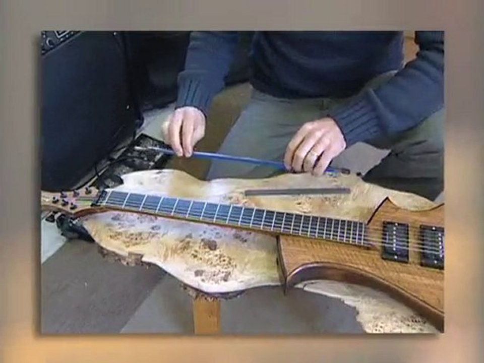 Artinov 2010 - P.A. Roiron Artisan Luthier