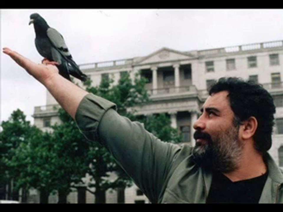 Demedimmi haydar