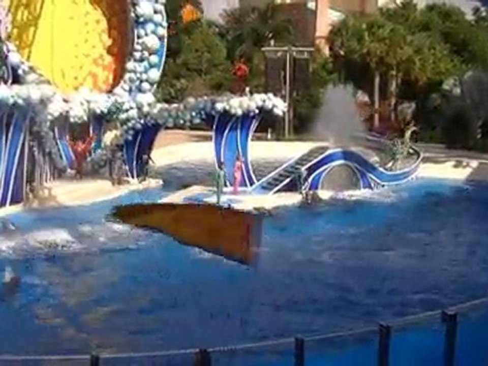 SEAWORLD en Floride