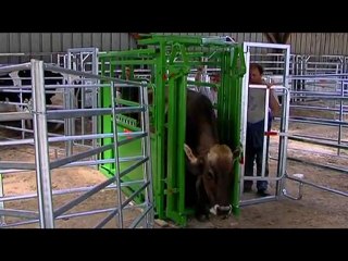 Cage de contention PM 2900