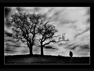 ZİGON SEHPA-Bedirhan Gökçe