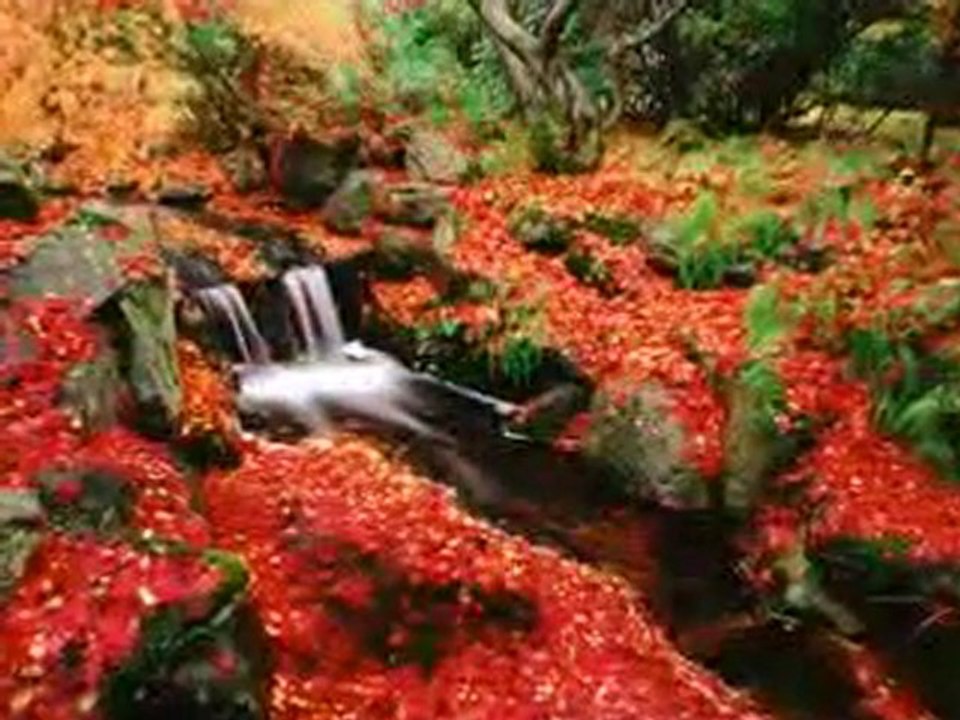 BİR İHTİMAL DAHA VAR