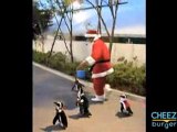 La parata dei pinguini natalizi