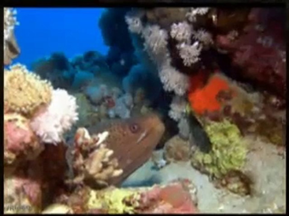 Voyage Egypte Janvier, vacances pas cher