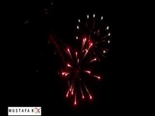 Mustafa Koç Tanıtım Organizasyon ve Parti Market Ltd. Şti.