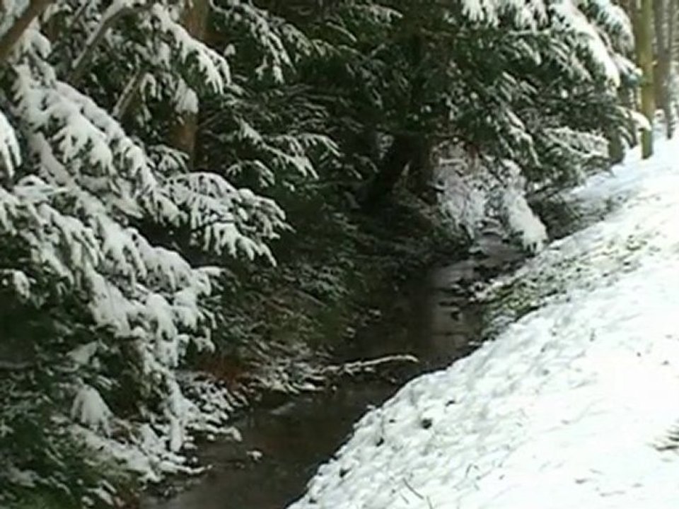 Winter im Grohbachtal