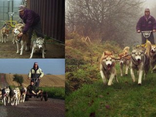 Norrland Husky en kart
