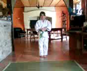 kata pinan sandan (EMMA 2008)