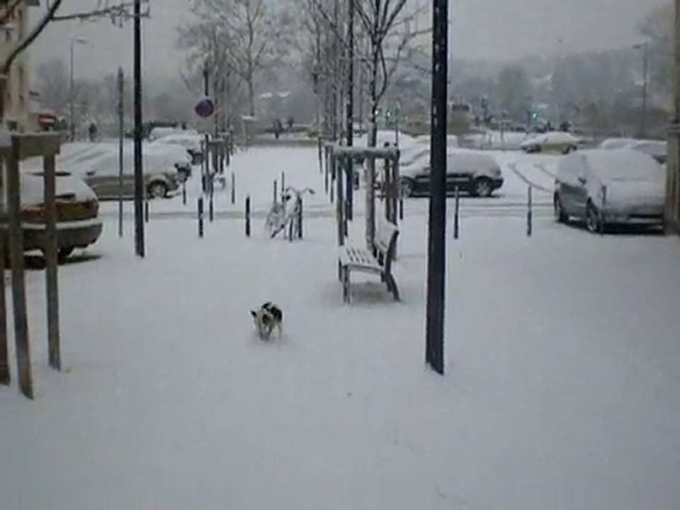 1ère neige 30/11/2010