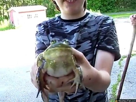 Un crapaud crie comme un Bébé