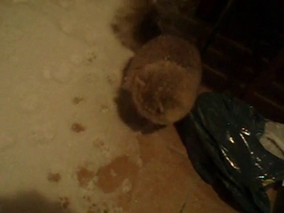 Flag et la neige épisode 2