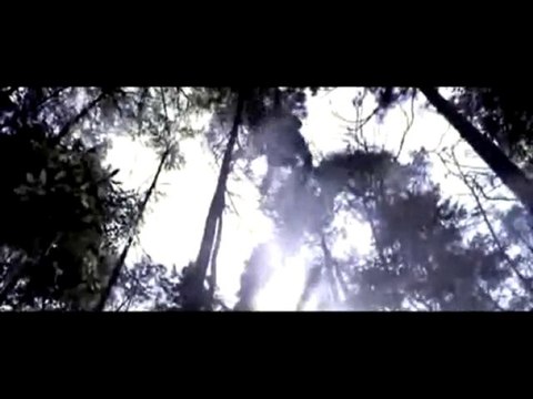 Basshunter - Thunder in Paradise remix (Shinobi fight)