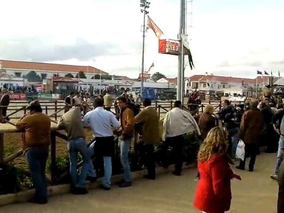 Golegã 2010 - 1