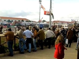 Golegã 2010 - 1