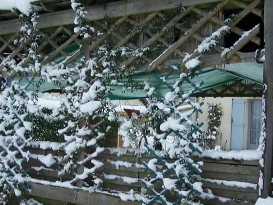 Neige de nuit 2010