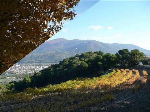 L'AUTOMNE A NYONS EN 2010