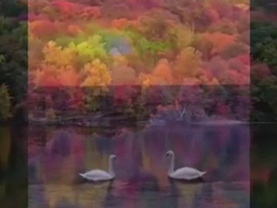 Ayla Aydemir - sol yanım acıyo anne