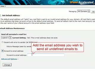 WordPress Tutorial - Email catchall – OrderYourName.com