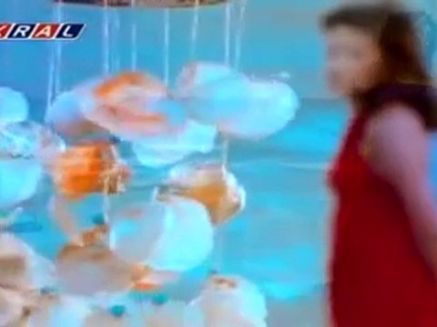 Sibel Bilgiç Alışamadım