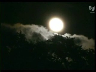 Destination vérité [Ninki Nanka / Chouette de Gambie] (4)