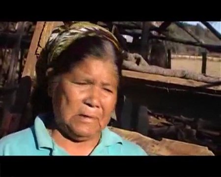 Trabajo (El conflicto forestal)