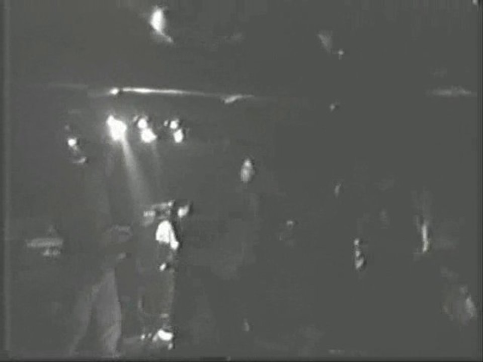 DSS LIVE GIBUS 2