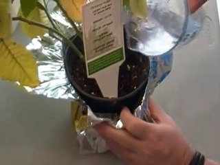 Fusion Rigid Polyester Synthetic Paper