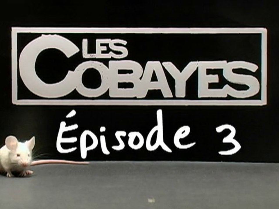 Épisode 3 - Saison 1