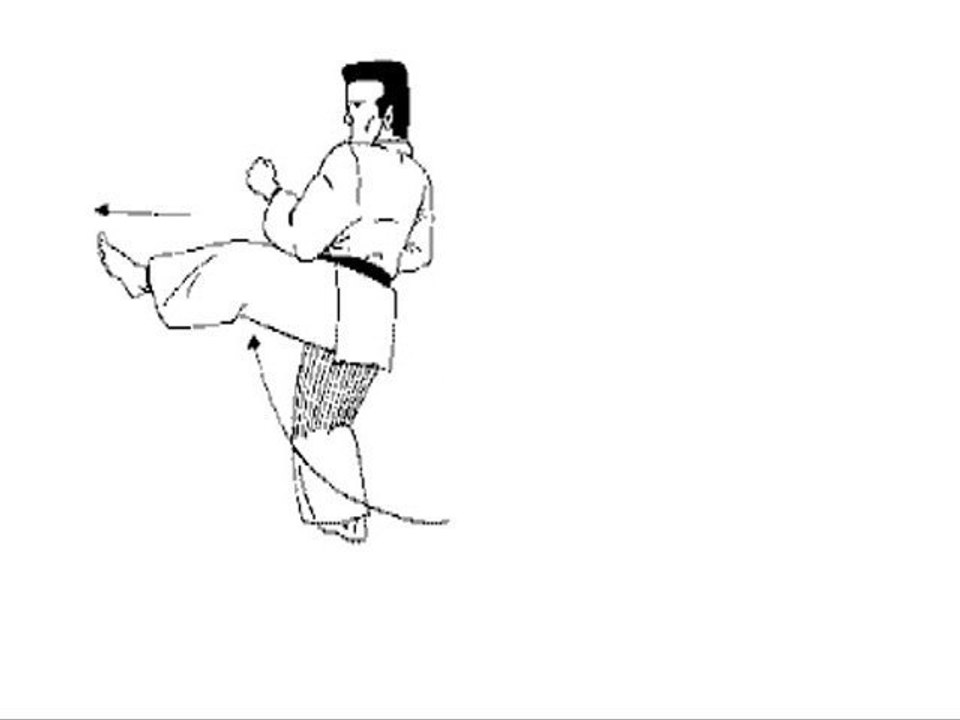 Tai Jitsu Kata Shodan