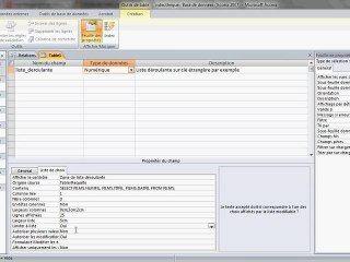 Microsoft Access - Création de listes déroulantes
