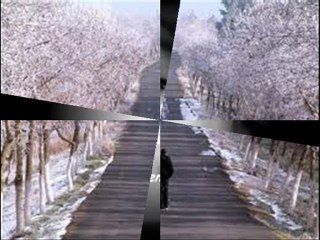 mc serok hadi kıy canına