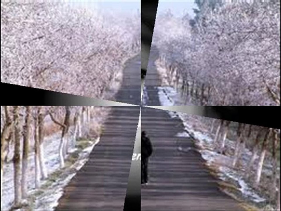 mc serok hadi kıy canına