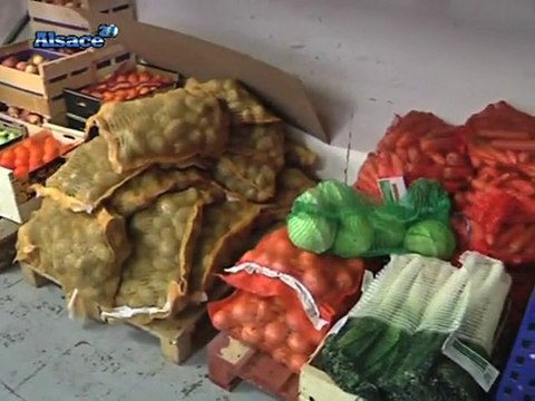 Les Restos du cœur en campagne (Alsace)